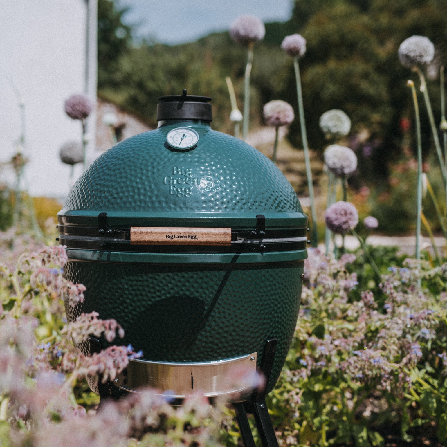 products/118BigGreenEggRC180716MattAustin_1.jpg